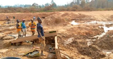 Artisanal miners in Guerwane village say gold is nature's gift to them.