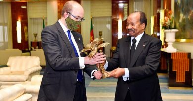 UK Minister for Africa with President Biya during audience at Unity Palace