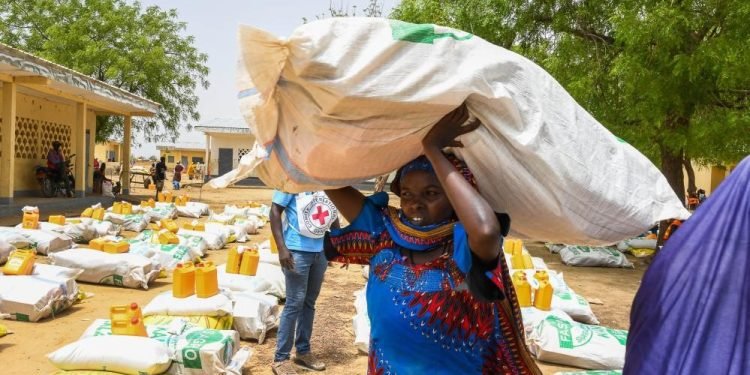 ICRC sows seeds of hope for displaced people in Cameroon’s Far North region