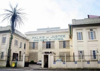 Cameroon lawyers strike over police harassment