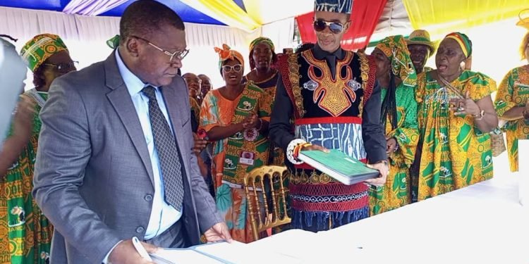 MANYCAWE-UFC SA partnership yields loans for 6,000 women entrepreneurs