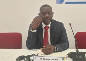 In New Year message: Dreamland Connect PLC Management commits to improve entertainment experience