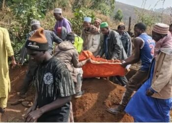 WICUDA-USA calls for urgent probe into Gidado killings