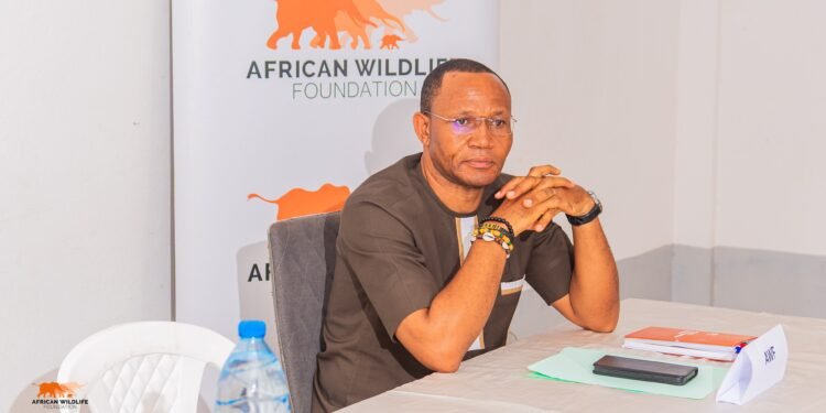 AWF Cameroon reimagines new future in the wild after a decade of pearls, pitfalls