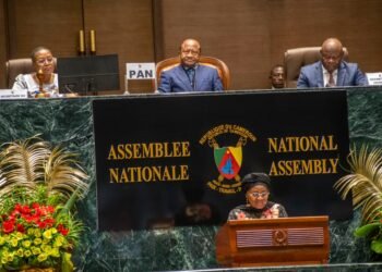 Cameroon falling short on pledge to halve violence against women by 2026 – HRW