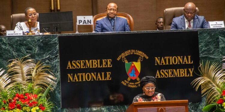 Cameroon falling short on pledge to halve violence against women by 2026 – HRW