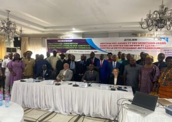 Cameroon tightens arms control amidst security challenges