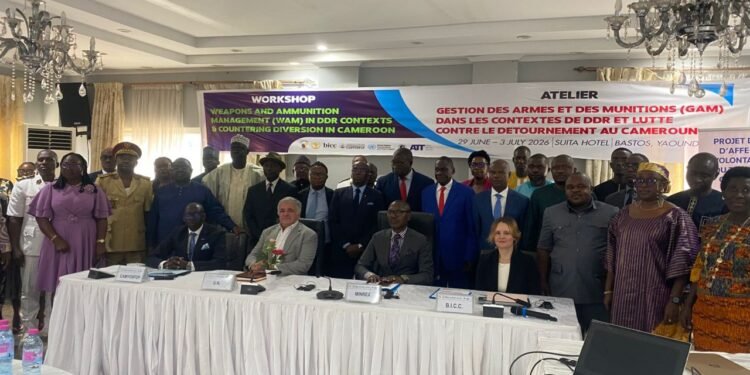 Cameroon tightens arms control amidst security challenges
