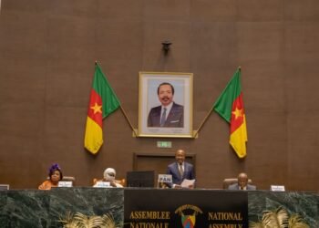 Cameroon National Assembly Speaker calls for greater transparency in mining, land governance