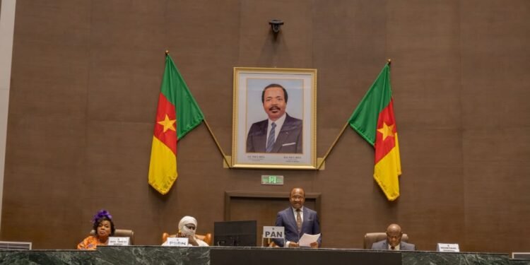 Cameroon National Assembly Speaker calls for greater transparency in mining, land governance
