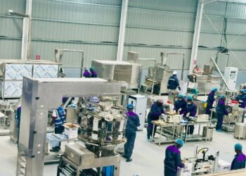 Denky launches Made-in-Cameroon food processing plant, creates 150 jobs