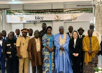 Cameroon moves to operationalise National DDR strategy with new action plan