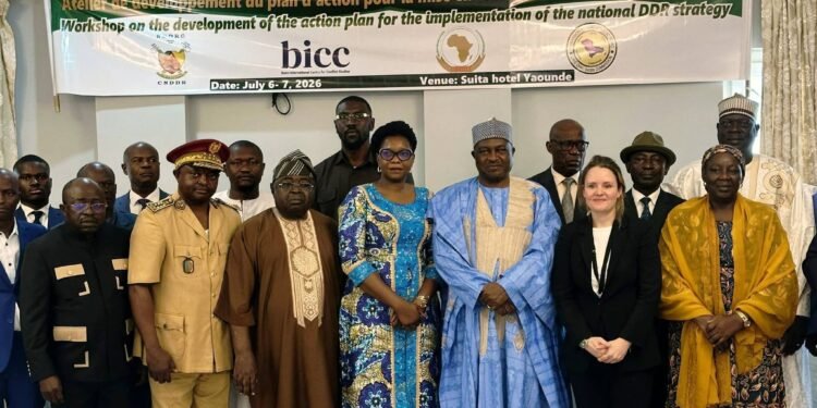 Cameroon moves to operationalise National DDR strategy with new action plan