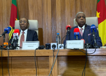 Mining reforms set to yield FCFA 1,000bn annually, govt says