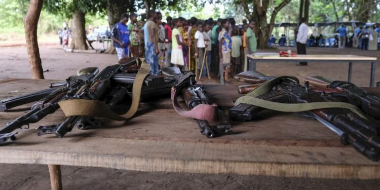 Cameroon battles illicit arms as illegal weapons in circulation near 185,000