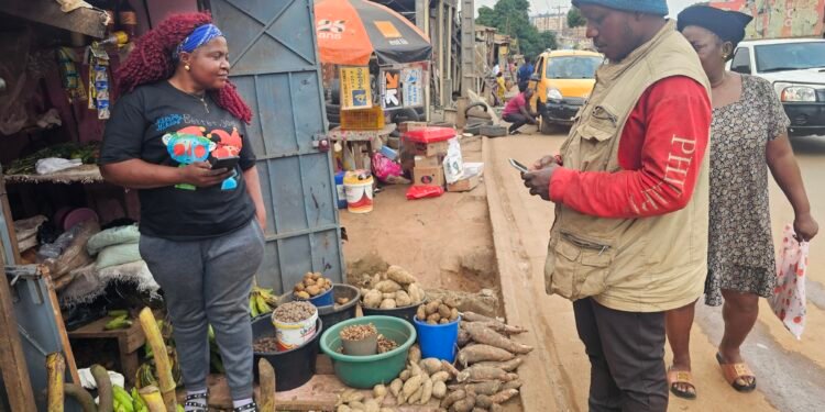 Mobile money eases trade for women in Cameroon, but analysts say more is needed
