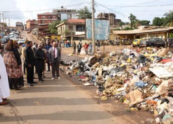 Cameroon’s waste crisis: We need more than cleanup campaigns