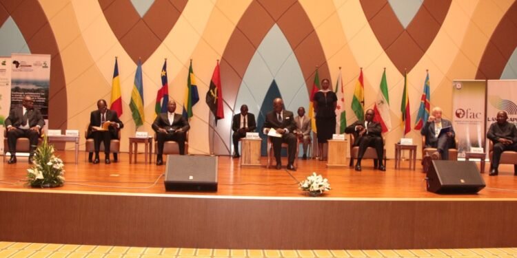 Congo Basin MPs push for science-based forest governance, climate finance
